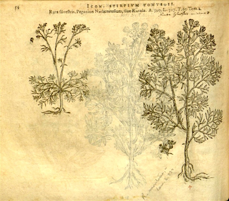 n876_w1150