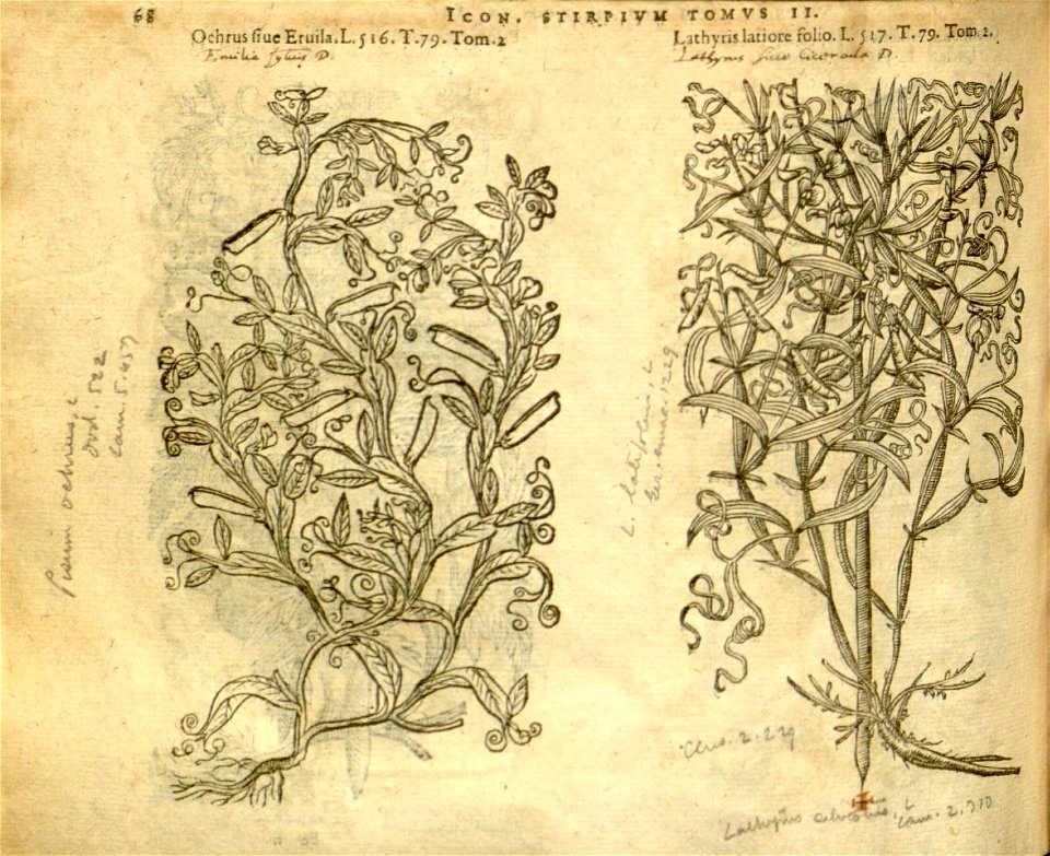 n890_w1150