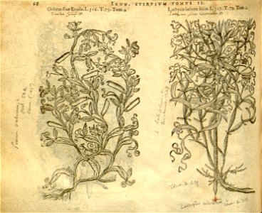 n890_w1150