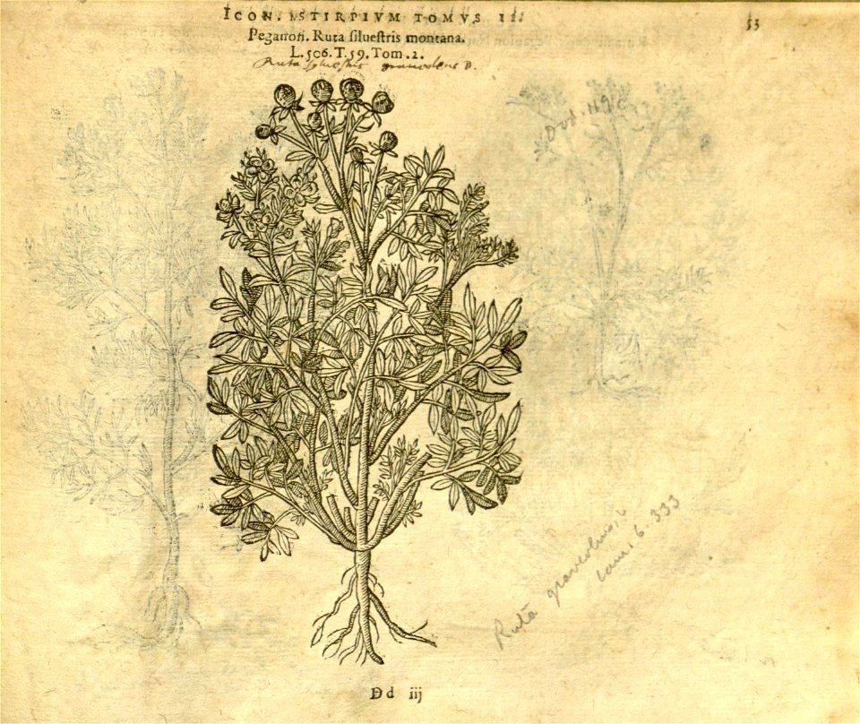 n875_w1150
