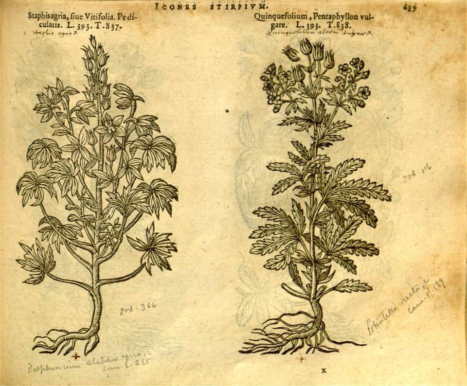 n695_w1150