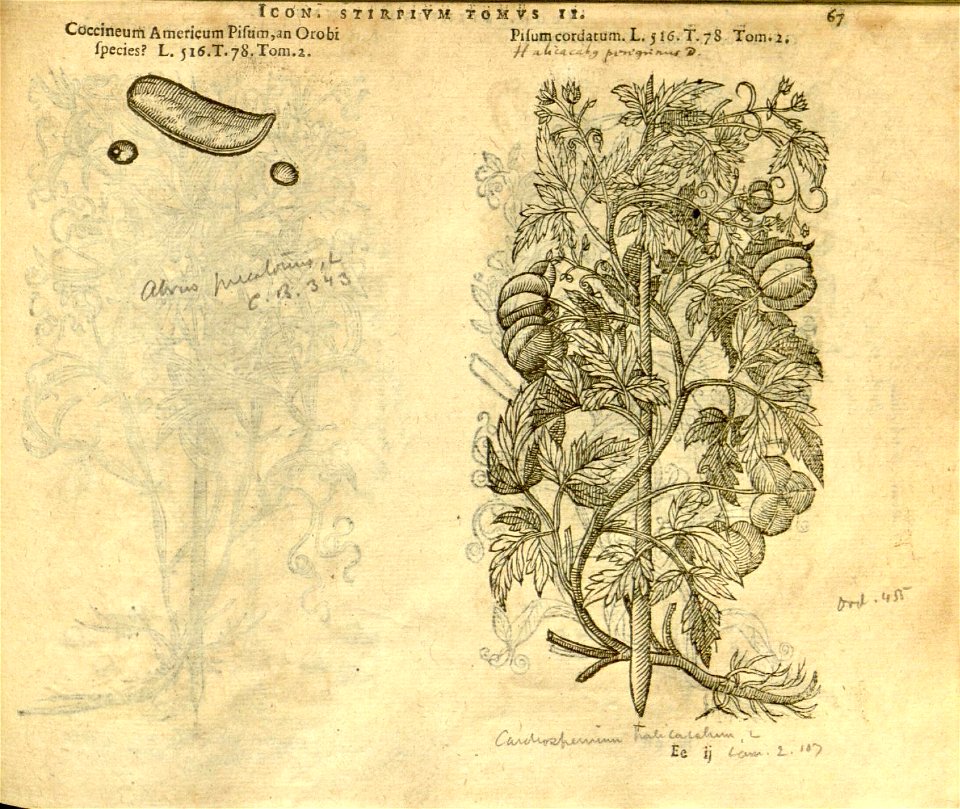 n889_w1150