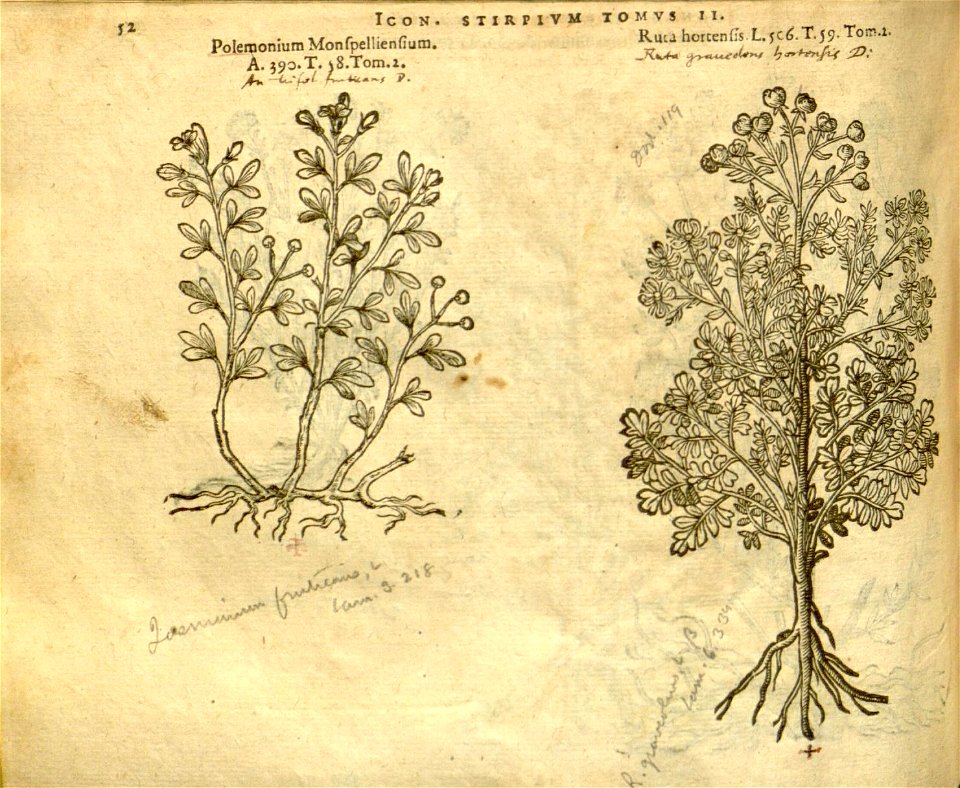 n874_w1150