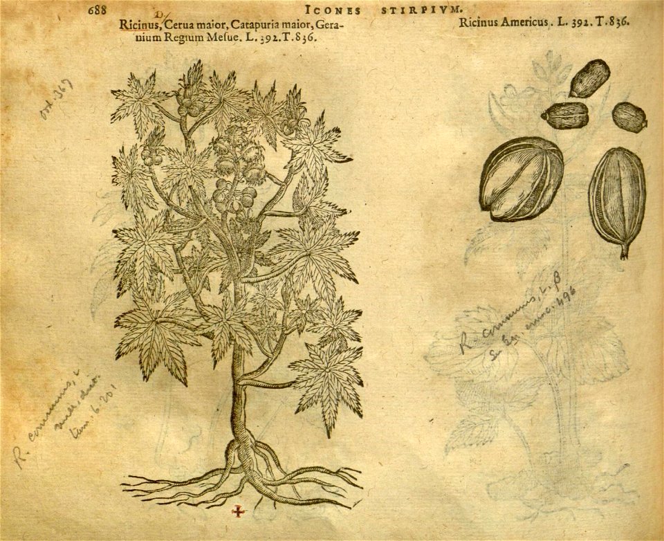n694_w1150