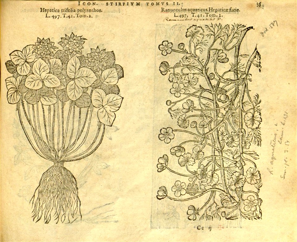 n857_w1150