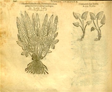 n812_w1150