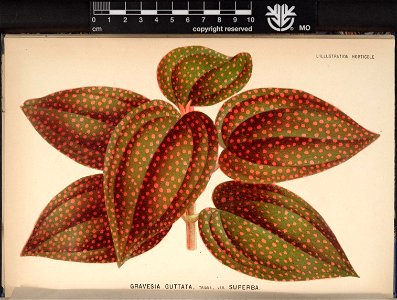 n164_w1150