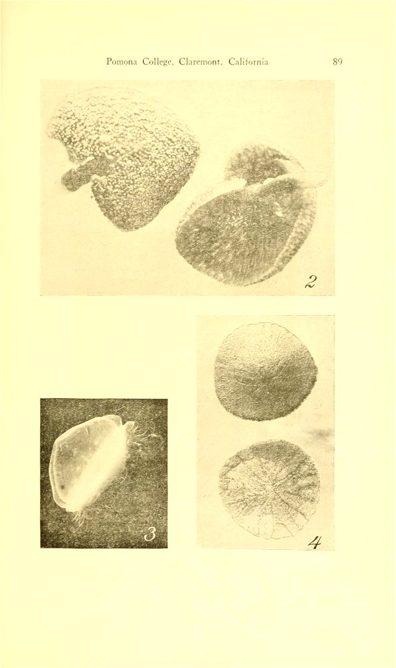 n104_w1150