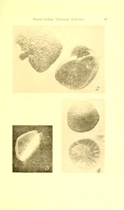n104_w1150