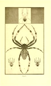 n182_w1150