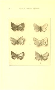 n99_w1150