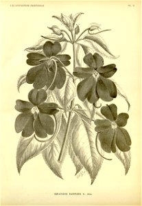 n14_w1150