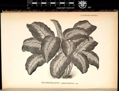 n187_w1150