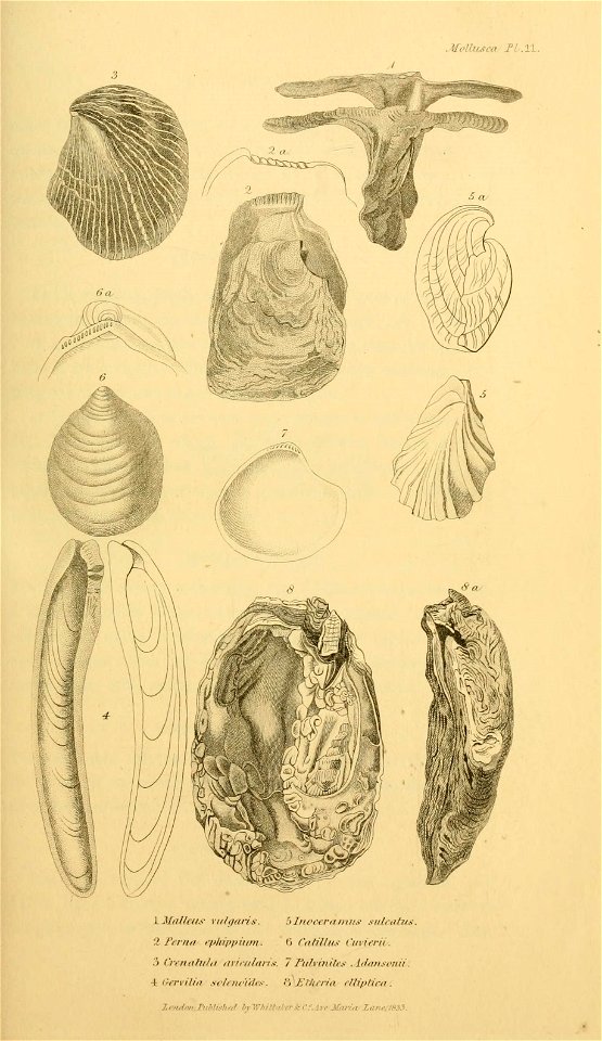 n152_w1150