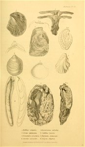 n152_w1150