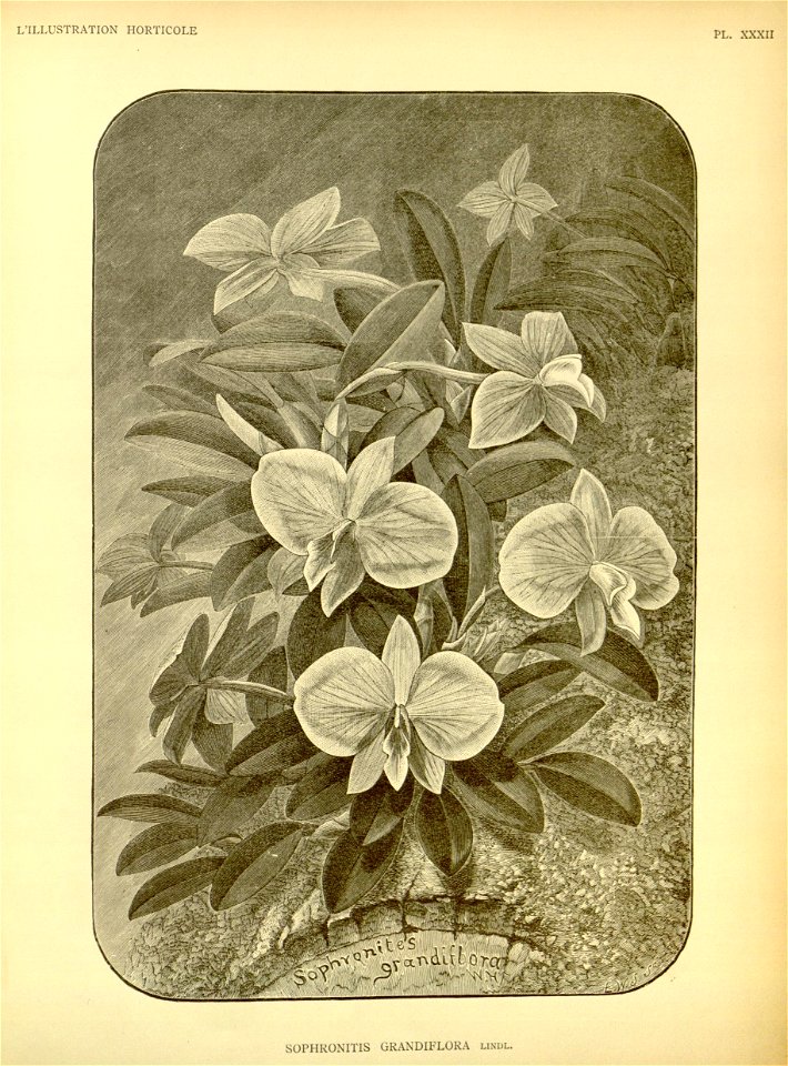 n199_w1150