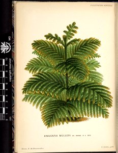 n85_w1150