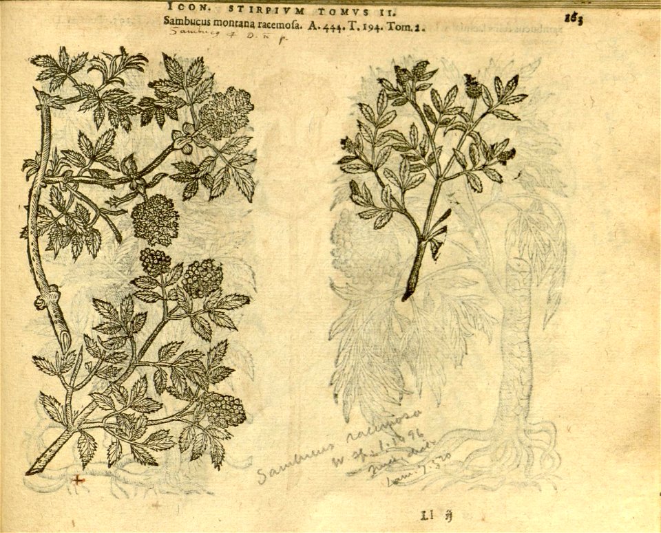 n985_w1150