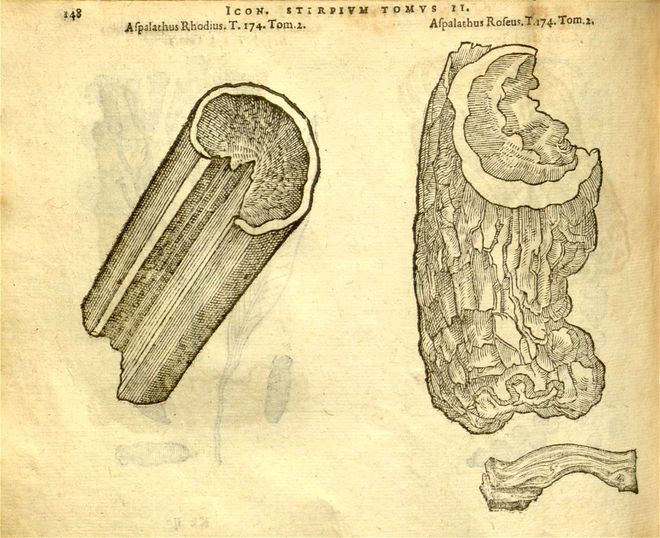 n970_w1150