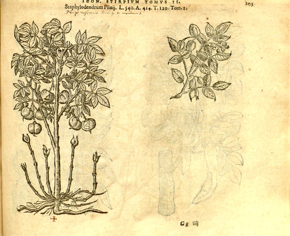 n925_w1150