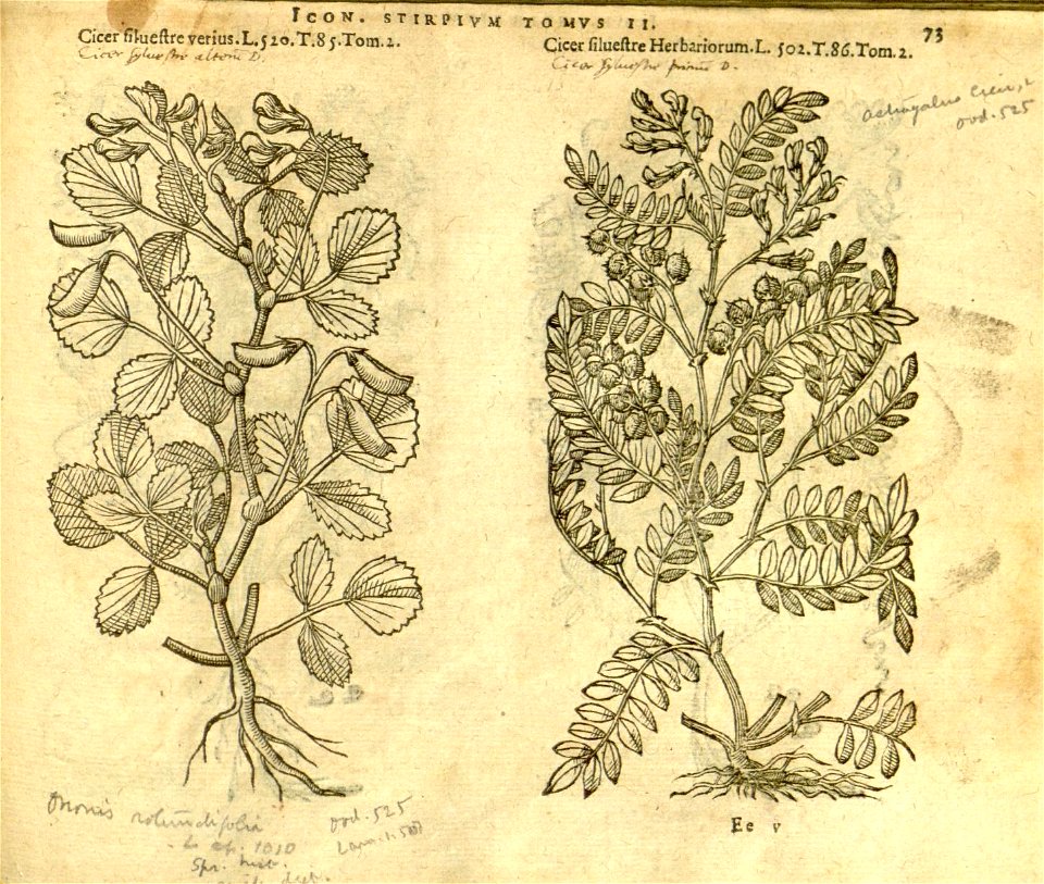 n895_w1150