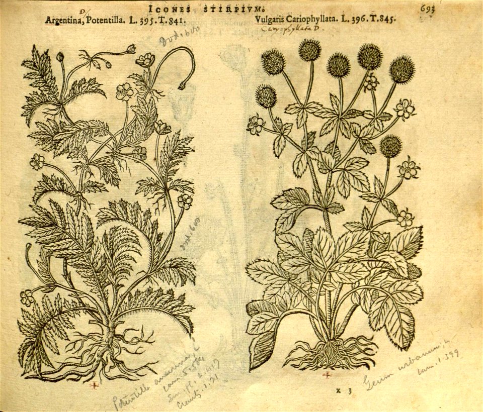 n699_w1150