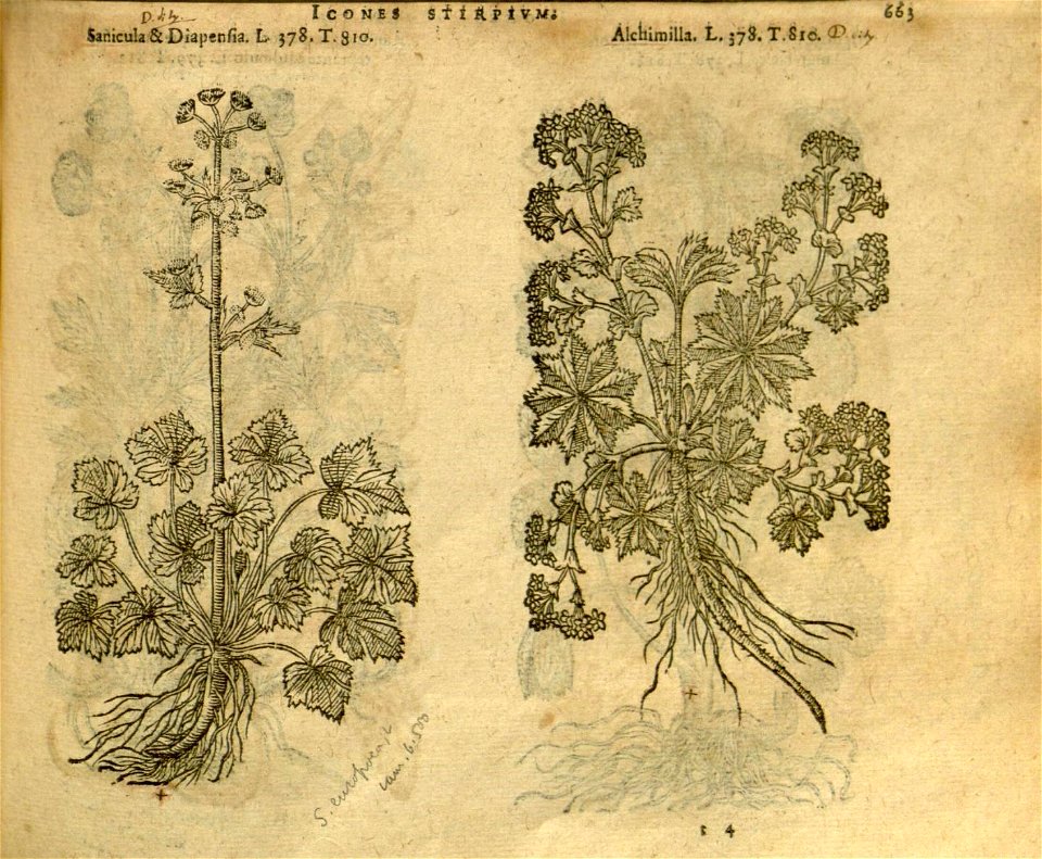 n669_w1150