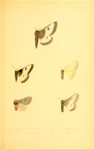 n184_w1150
