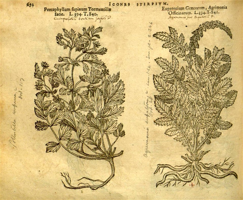 n698_w1150