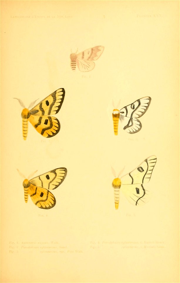 n178_w1150