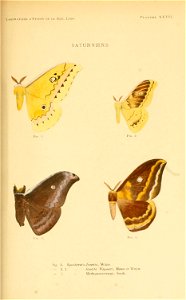 n126_w1150