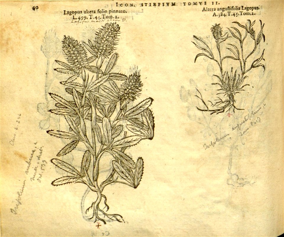 n862_w1150