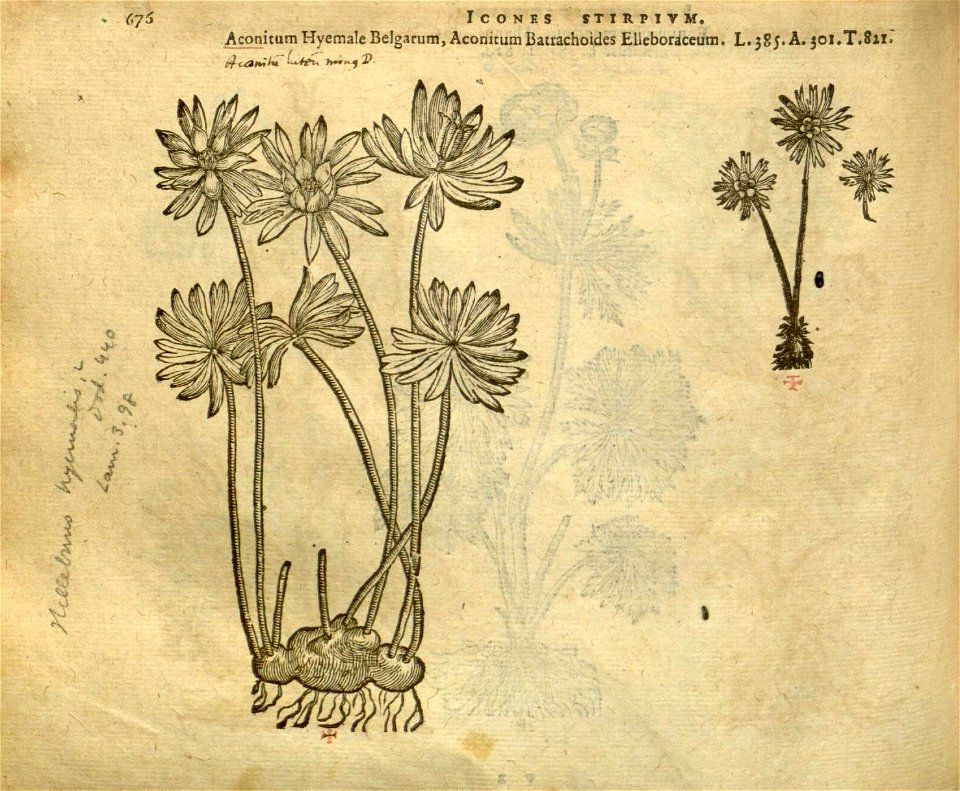 n682_w1150