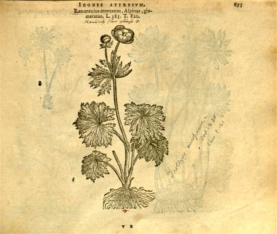 n681_w1150