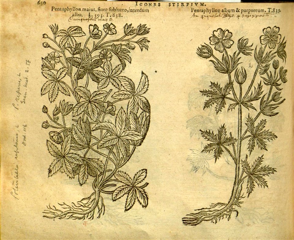 n696_w1150