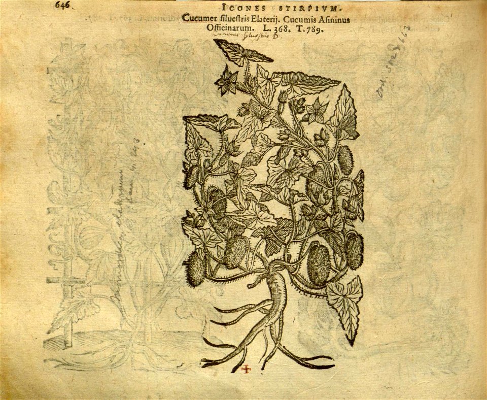 n652_w1150