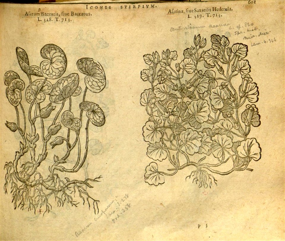 n607_w1150