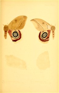 n168_w1150