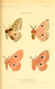 n112_w1150