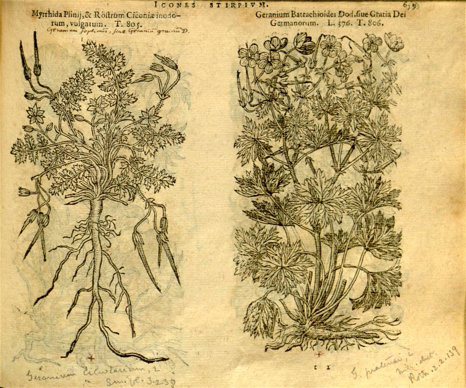 n665_w1150