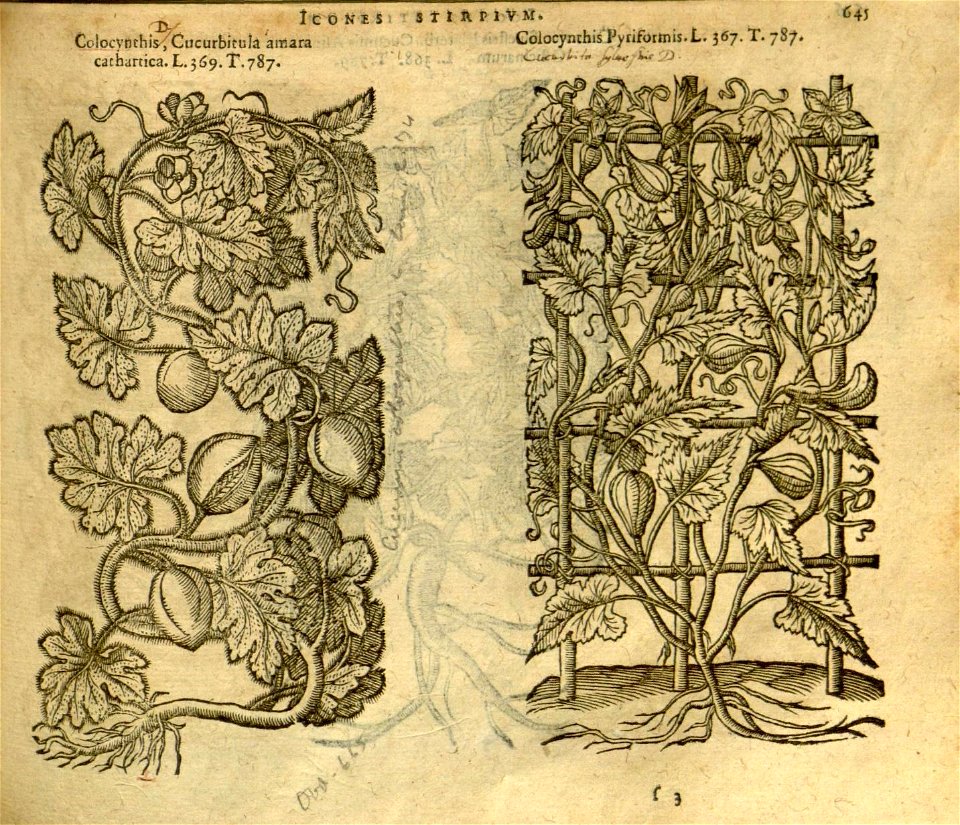 n651_w1150