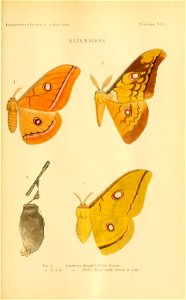 n216_w1150