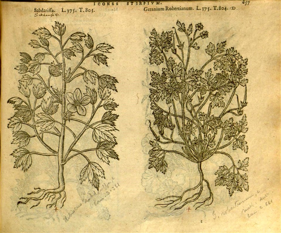 n663_w1150