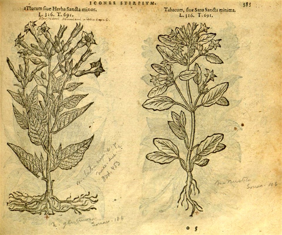 n591_w1150