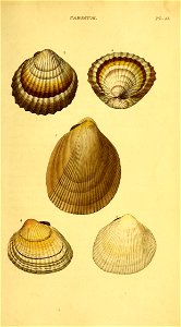 n424_w1150