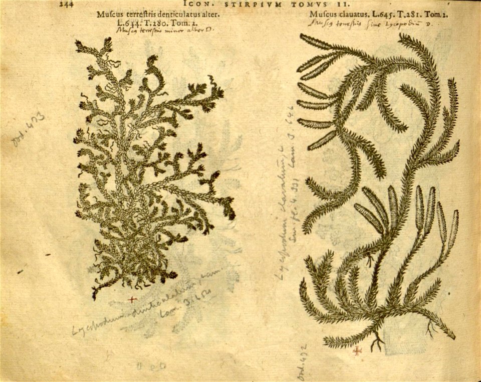 n1066_w1150