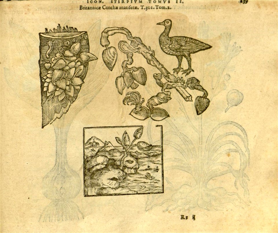 n1081_w1150