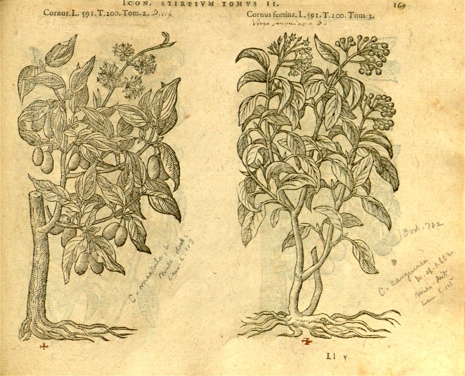n991_w1150