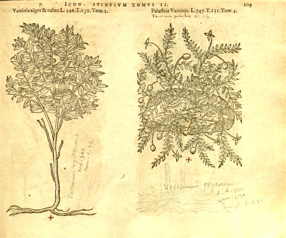n931_w1150