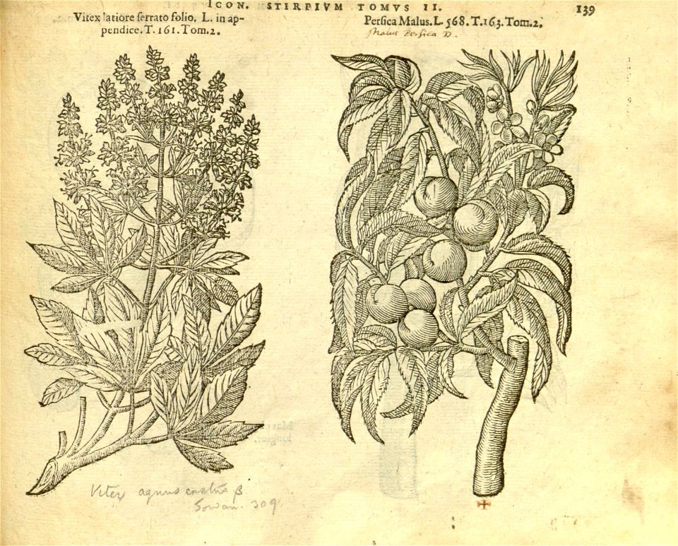 n961_w1150